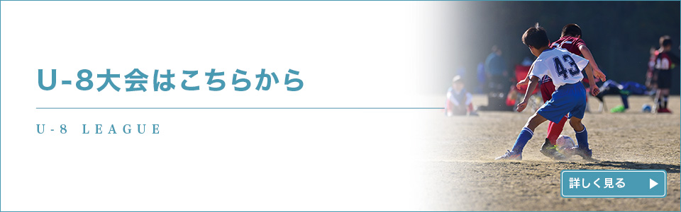 U-8͂